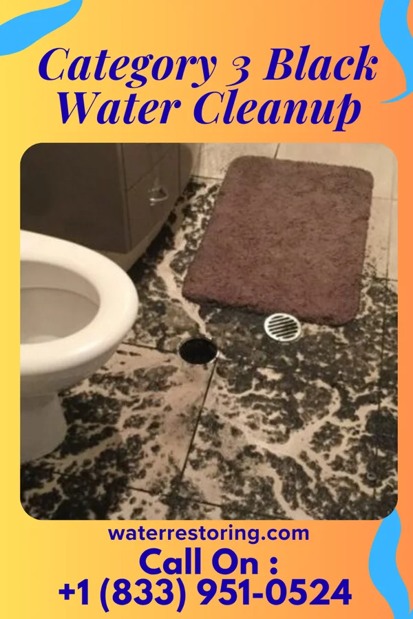 Category 3 Black Water Cleanup in Little Mountain, SC