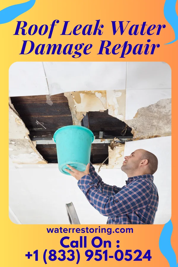 Roof Leak Water Damage Repair in Little Mountain, SC